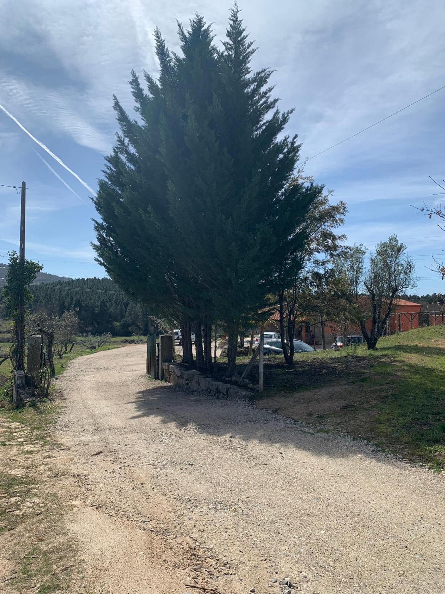 Quinta Dos Cedros L Turismo Rural Covilha Exterior photo