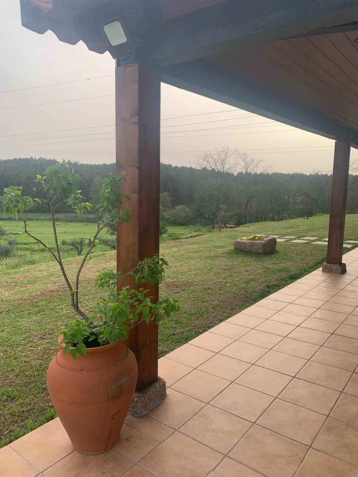 Quinta Dos Cedros L Turismo Rural Covilha Exterior photo